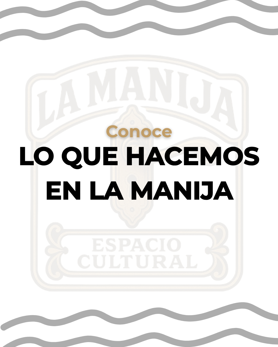 Conoce nuestra trayectoria y proyectos
